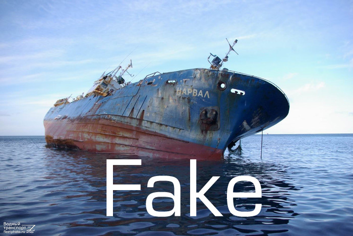 To the post about elections in Primorsky Krai - My, Primorsky Krai, , Ship, Forgery, Fake, Fake news, Elections, Narwhals