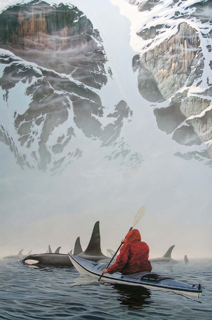 Walk in warm company - The photo, Reddit, Kayak, Killer whale