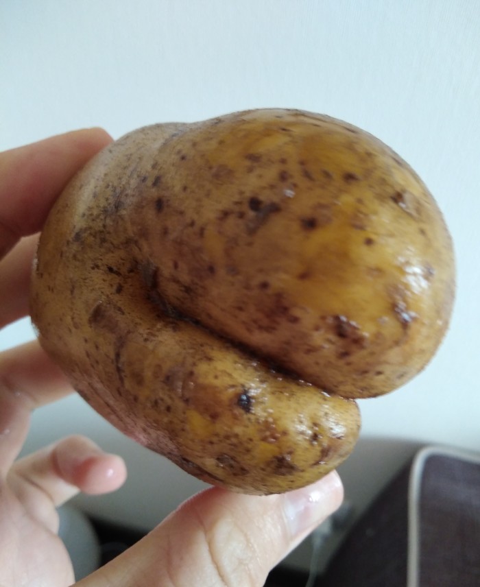 Looked at the potatoes - smiled back - My, Your mouth is a potato, Smile
