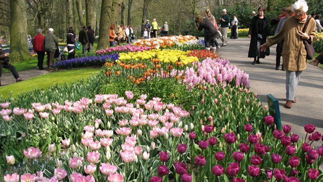 In the Netherlands opened a shelter for garden plants - Shelter, Plants, Initiative, Netherlands, Netherlands (Holland)