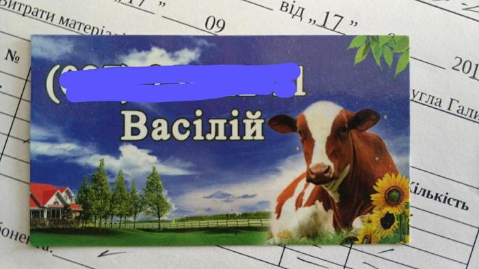 Basil - Design, Cow, Business card, Оригинально