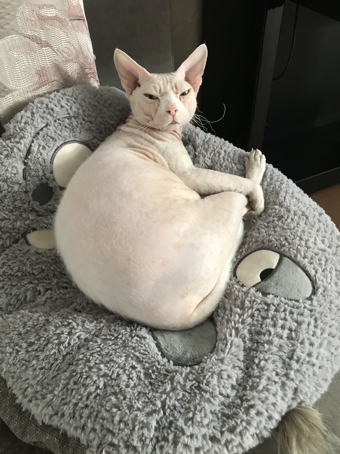 Подозрительность и недоверие