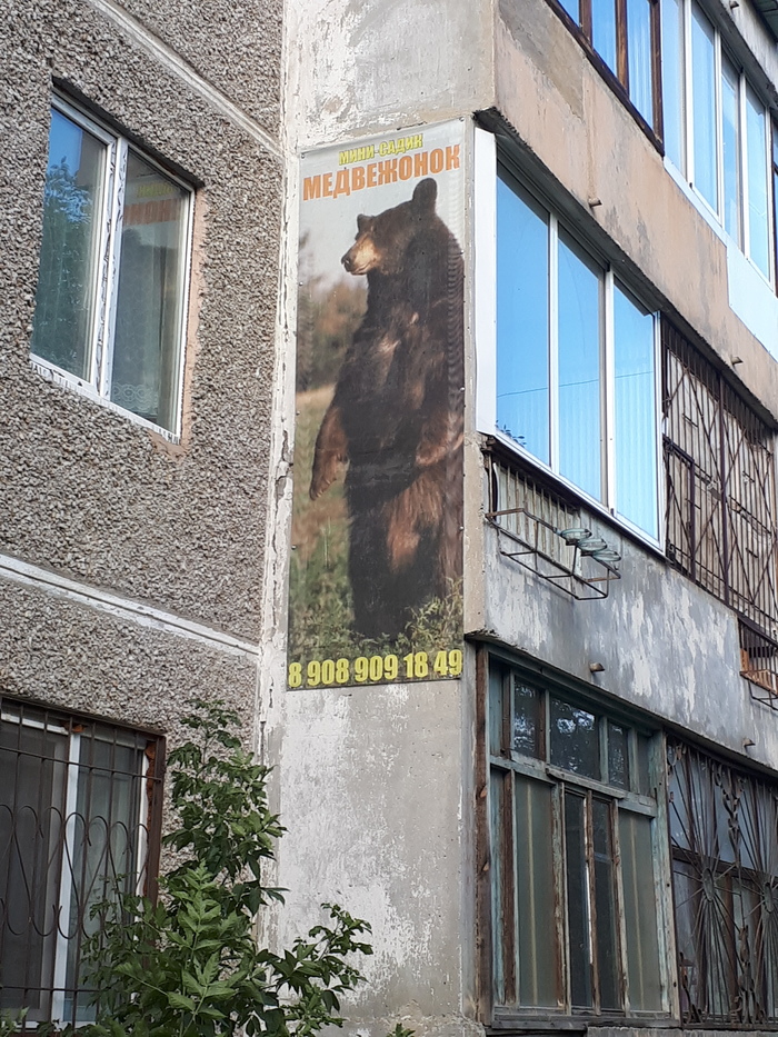 "Медвежонок"