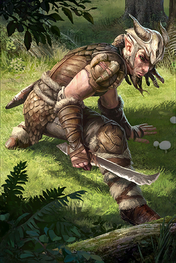 The Elder Scrolls: Legends. - The Elder Scrolls: Legends, Art, Bosmer, Cards, Longpost