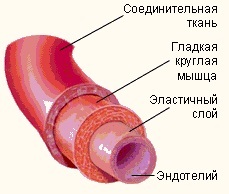 Один из трех, это статистика или пара слов об аневризме - Моё, Аневризма, Аневризма аорты, Медицина, Научпоп, Здоровье, Следизасобой крылышкоможетубит, Длиннопост