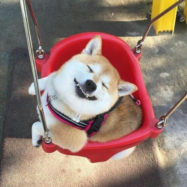 �������� - ��� �������