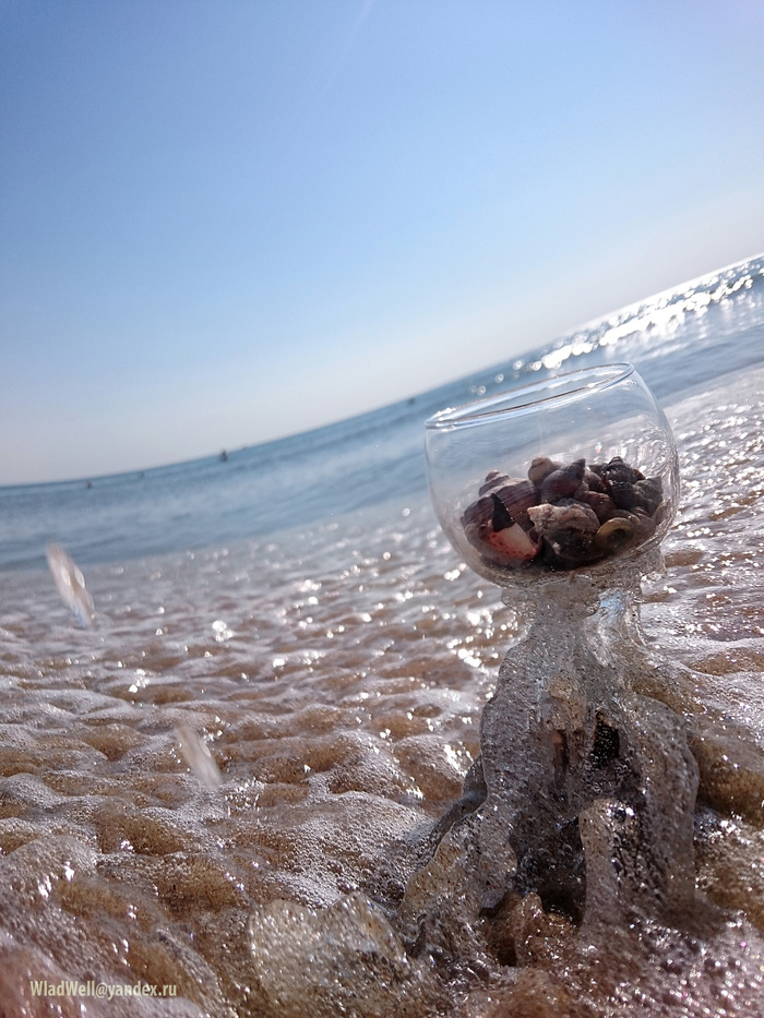 Коктейль для русалки 2018 Море, Ракушки, Коктейль, Русалка, Длиннопост