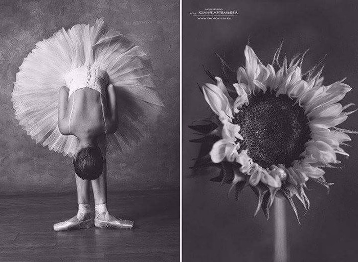 Ballet and Flora. - The photo, Ballet, Flora, Longpost