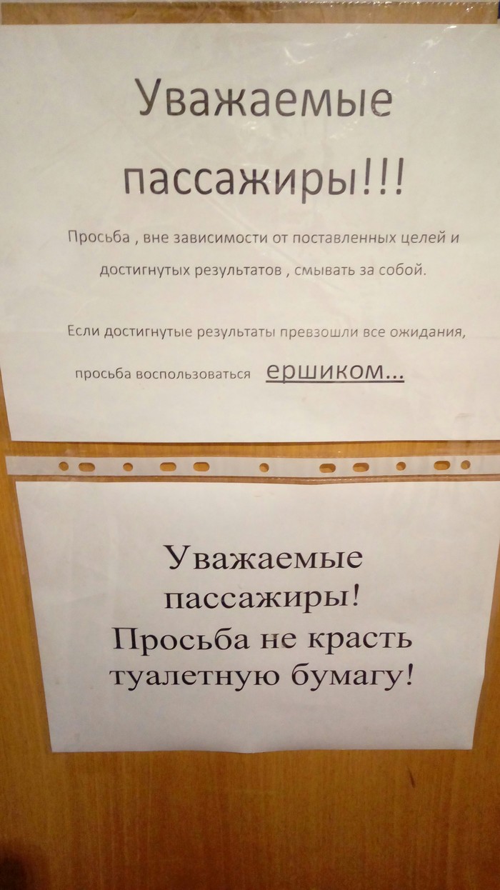 muzhik-ershikom-chesal-zad-priglasila-domoy-lesbi