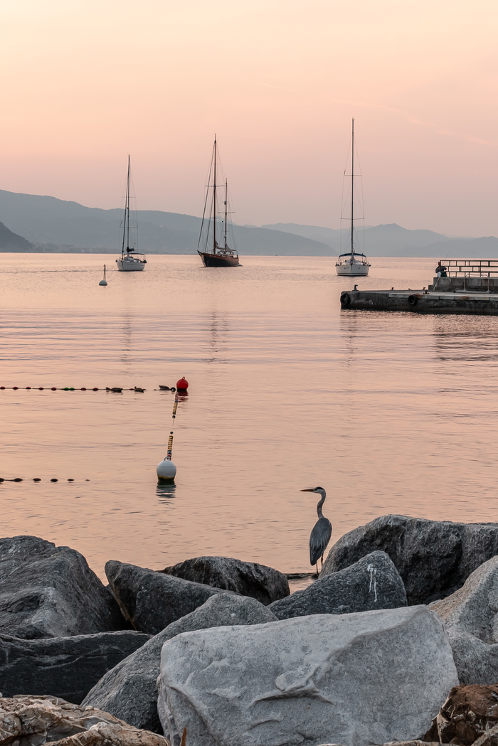 Dawn on the sea - My, Sea, The photo, Birds, dawn, Italy, 