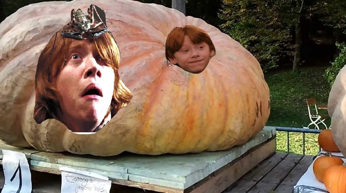 Ron Weasley and the Enchanted Pumpkin - My, Harry Potter, Joke, Humor, Laugh, Story, Creation, Fantasy, Фанфик