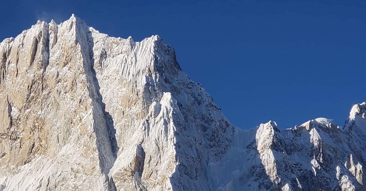 Туалет гамма барсик 20432001 32,5*23,5*6см д/к мини с сеткой*15. Homecat туалет для кошек с бортиком. Туалет д/кошек 45,5х34х10см "leader" 11150. Туалет для кошек gamma с сеткой, 34х26х5 см. Лоток сибирская кошка мяус с сеткой.