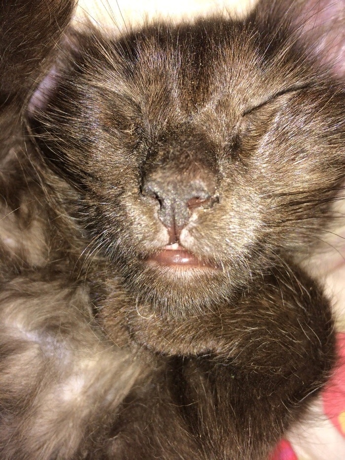   ,  ,   ... , , 