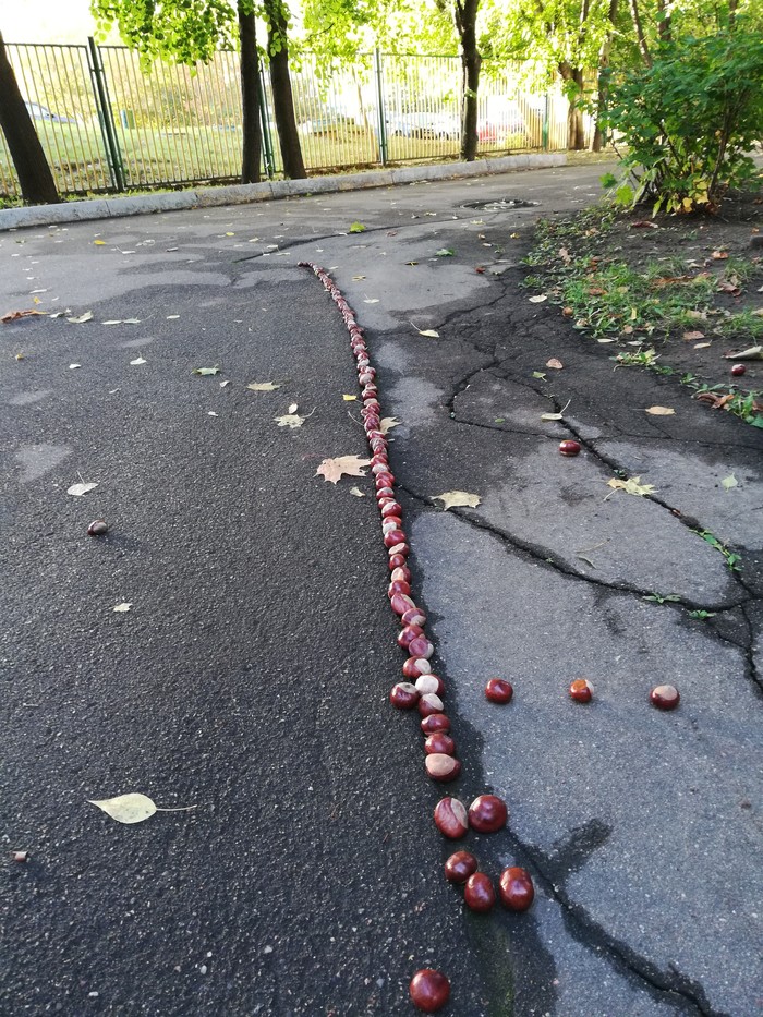 The joys of a perfectionist - Perfectionism, My, Longpost, Chestnut, Autumn