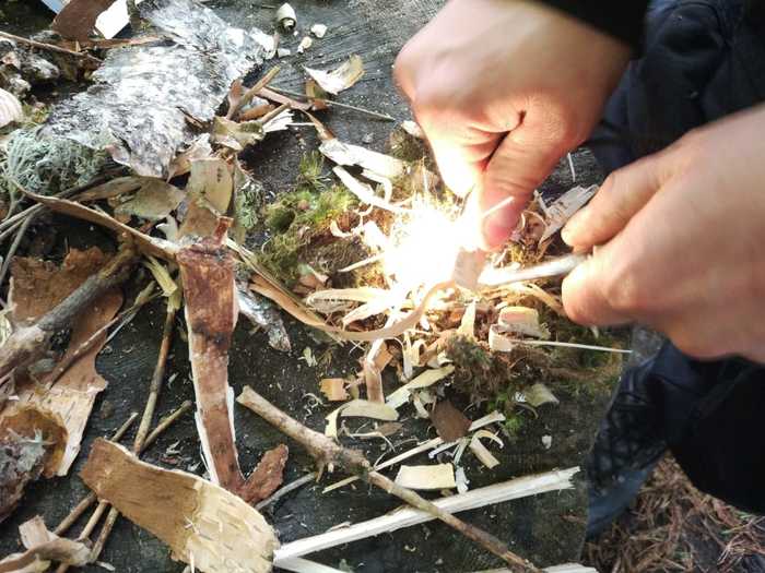 Пикабушное выживание часть 3. Отчёт. Поход, Выживание, Шалаш, Пвд, Природа, Длиннопост