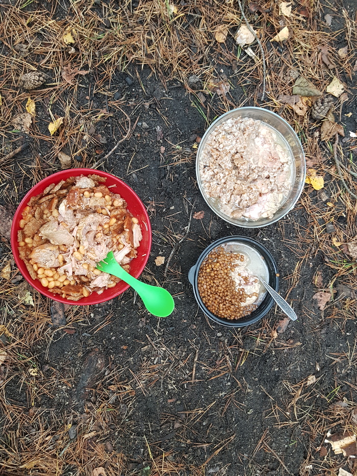 Пикабушное выживание часть 3. Отчёт. Поход, Выживание, Шалаш, Пвд, Природа, Длиннопост