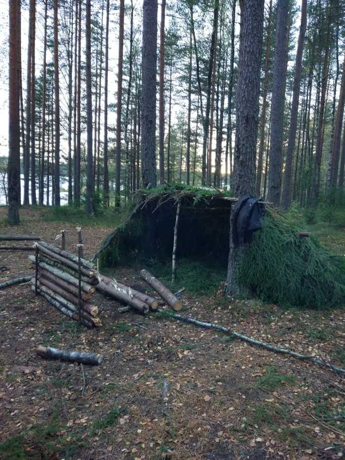 Пикабушное выживание часть 3. Отчёт. Поход, Выживание, Шалаш, Пвд, Природа, Длиннопост