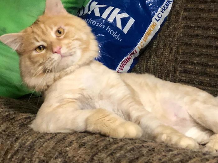 Эй , братиш, ты про меня не забыл?