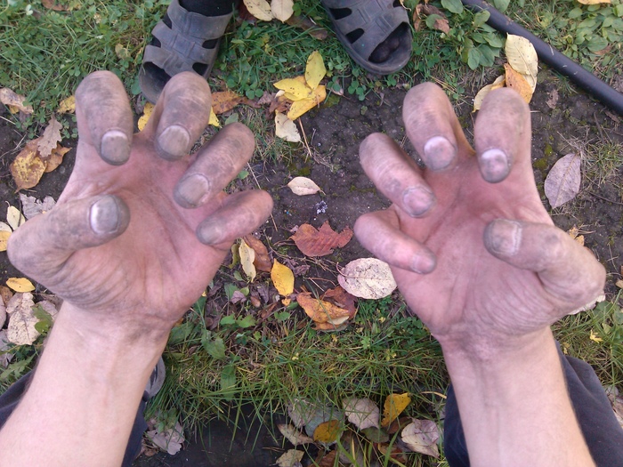 Went with my brother for a manicure. - Potato, Arms, My, Nails, Dirt