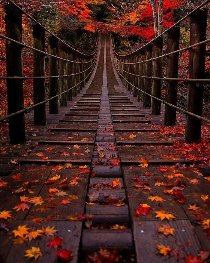 Мост в Японии.