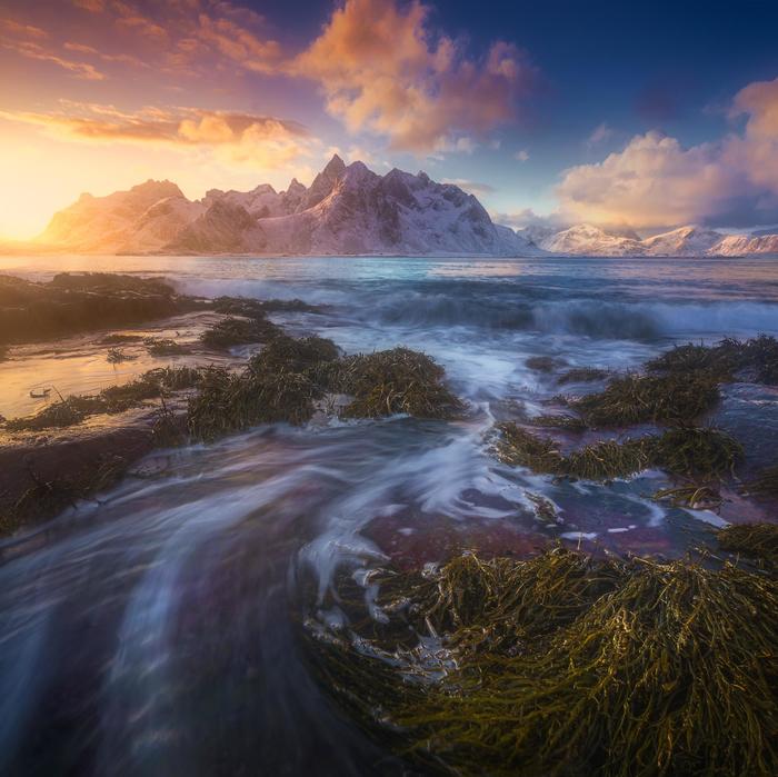 Sunrise in the Lofoten Islands, Norway - Nature, beauty of nature, Norway