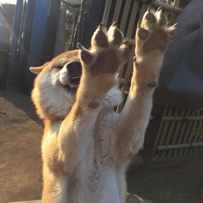 &quot;--  ,   !&quot;