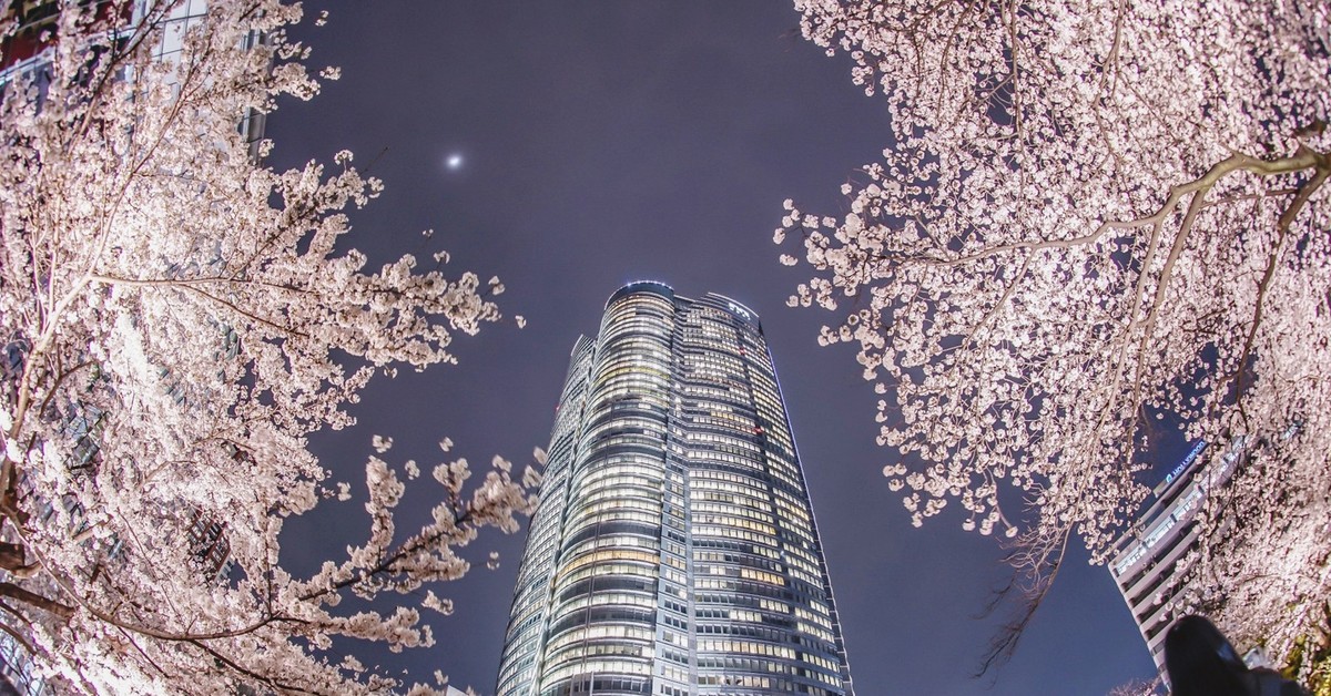 Japan center. Роппонги Токио. Япония район Роппонги. Роппонги Хиллз Токио. Roppongi Hills Mori Tower, Токио, Япония..