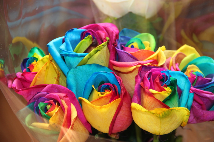 Мужчины моей жизни. История #2