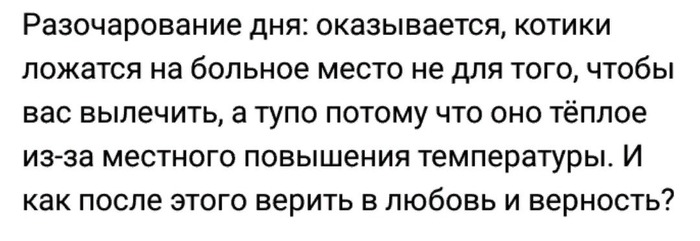 Про котиков