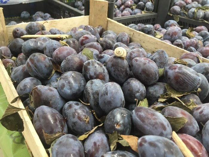 ������ ����������� ��� :3