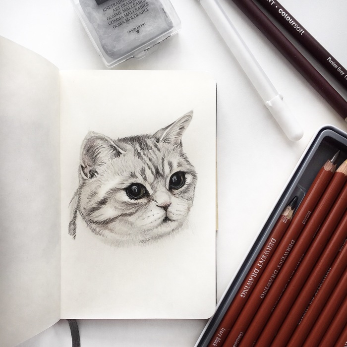 Continuation of the cat family - My, cat, Catomafia, Art, Longpost, Pencil drawing, Drawing, Pencil, Animals, Animalistics