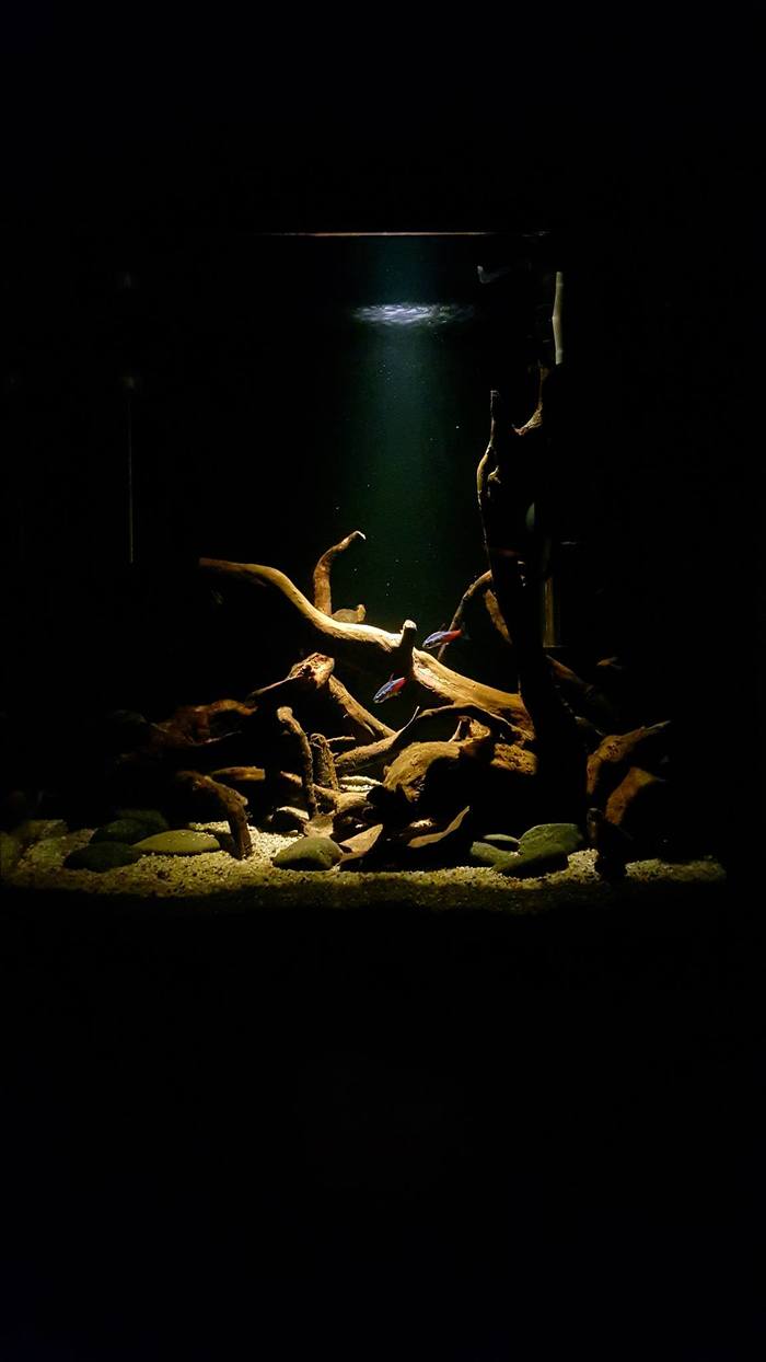 BLACK WATER аквариум с точечным светильником - очень атмосферно, захотелось такой же))