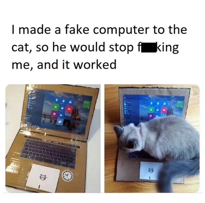 When the cat got - cat, Notebook, Fake, 9GAG, Translation