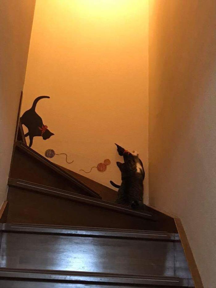       , , ,  , , 