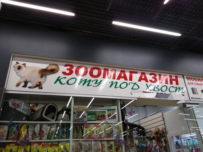 Going overboard with the name - My, Pet Shop, Saint Petersburg