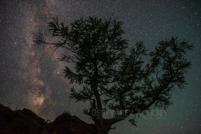 Tree and eternity - My, Astronomy, Astrophoto, Landscape, Milky Way, Stars, Night, Sky, beauty, Star