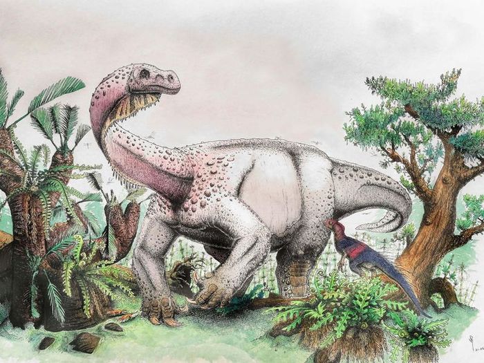 Jurassic sauropodomorph from South Africa told scientists how his relatives switched to walking on four, not two legs - My, Dinosaurs, Paleonews, Paleontology, Evolution, The science, Animals, Biology, Longpost