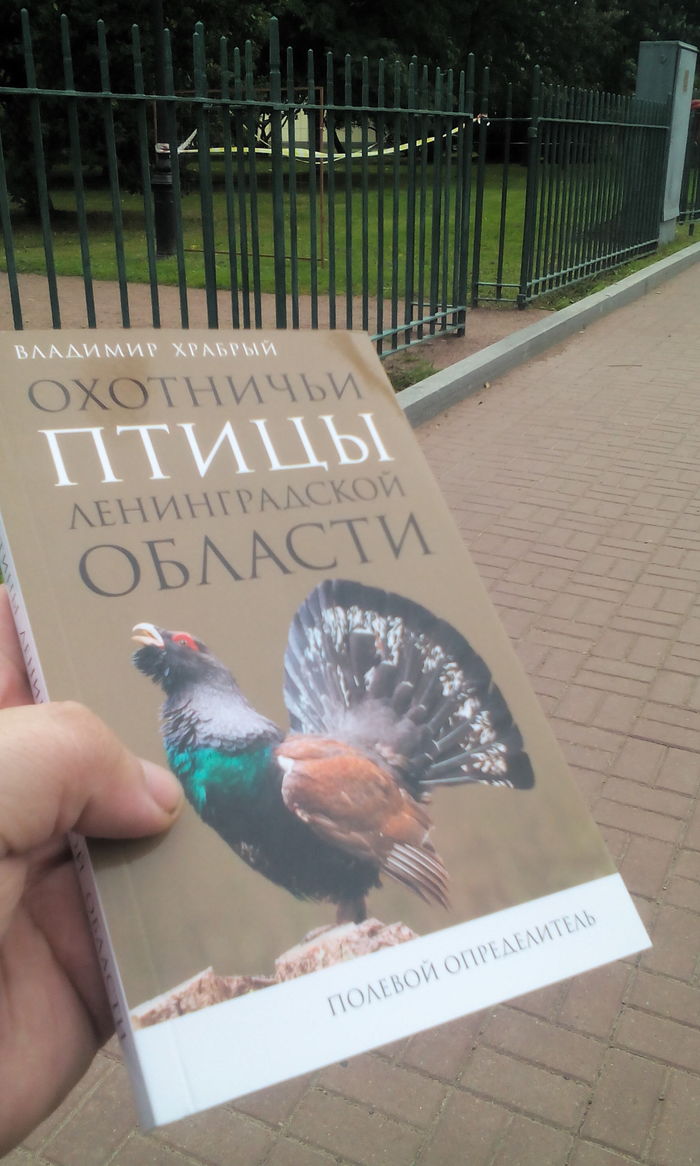на кого можно охотиться в ленинградской области. 1538129020167048737. на кого можно охотиться в ленинградской области фото. на кого можно охотиться в ленинградской области-1538129020167048737. картинка на кого можно охотиться в ленинградской области. картинка 1538129020167048737. Региональные особенности в сроках и способах охоты в Ленинградской области утверждены постановлением Губернатора Ленинградской области от 25 марта 2021 года № 21-пг «Об определении видов разрешенной охоты и параметров осуществления охоты на территории Ленинградской области«. Охота на все остальные виды охотничьих животных, не упомянутые в этом нормативном документе, осуществляется в сроки, установленные федеральными правилами охоты в России.