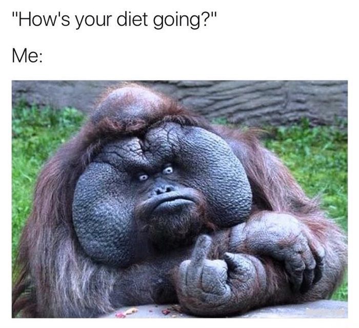 - How is your diet going? - Diet, Picture with text