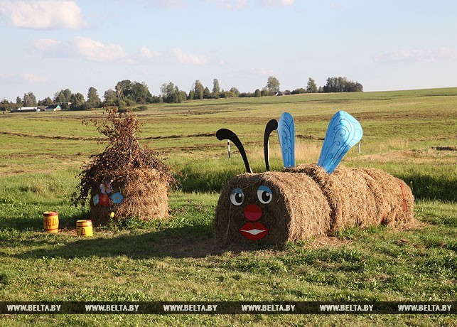 I am BELARUSIAN! - My, Longpost, Republic of Belarus, Straw, Creation, The photo