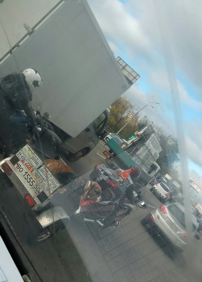 Meanwhile in Mytishchi... - My, Bikers, Amstaff, Road, Behind the wheel, Motorcyclists