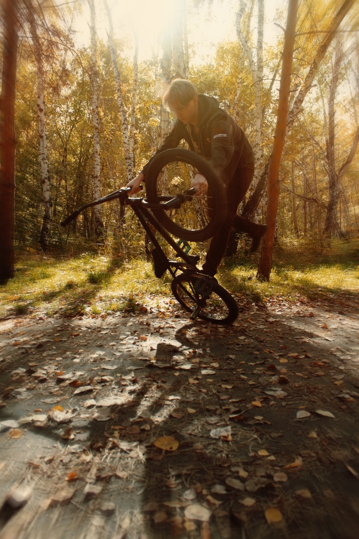 Autumn photoset - My, Autumn, BMX, A bike, Trick, Leaves, Nature, Longpost