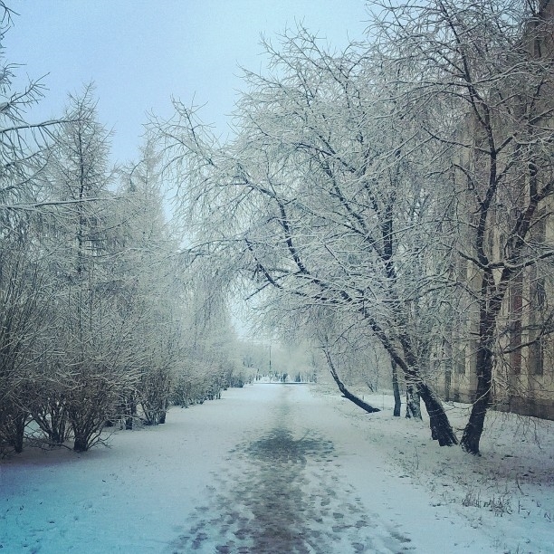 Winter - My, Дальний Восток, Komsomolsk-on-Amur, Khabarovsk region