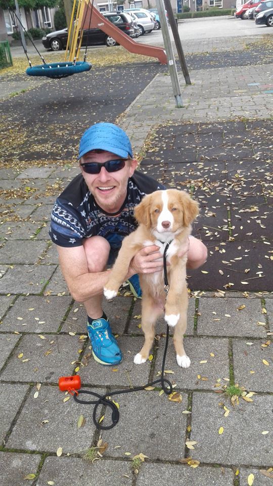 Three fights with a happy tail. - My, Holland, Run, Dog, Health, My, Longpost, Netherlands (Holland)