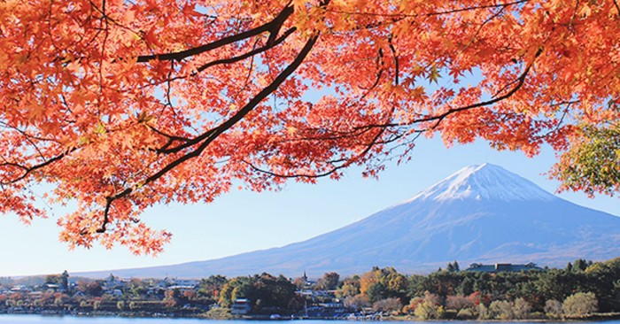 Fuji combined with red maple - Japan, Fujiyama, beauty, The mountains, Maple, The photo