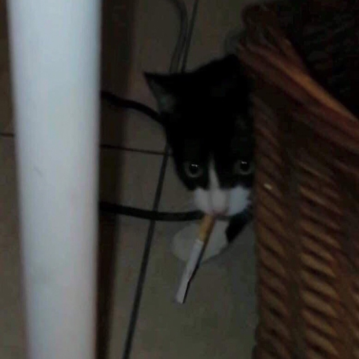 Огонёчку не найдётся ?