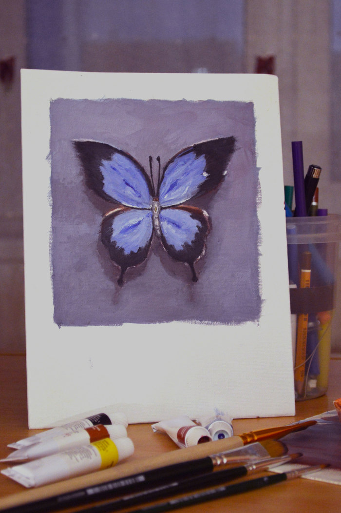 Butterfly. 2nd experience with oil - Butterfly, Drawing