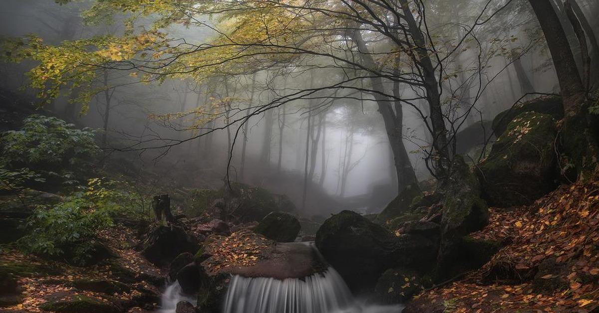 Сумерки водопад. Водопад в тумане. Ручей водопад. Лес водопад туман. Осенний водопад.