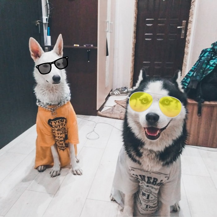 Хась-карась и Лайка-ебалайка...