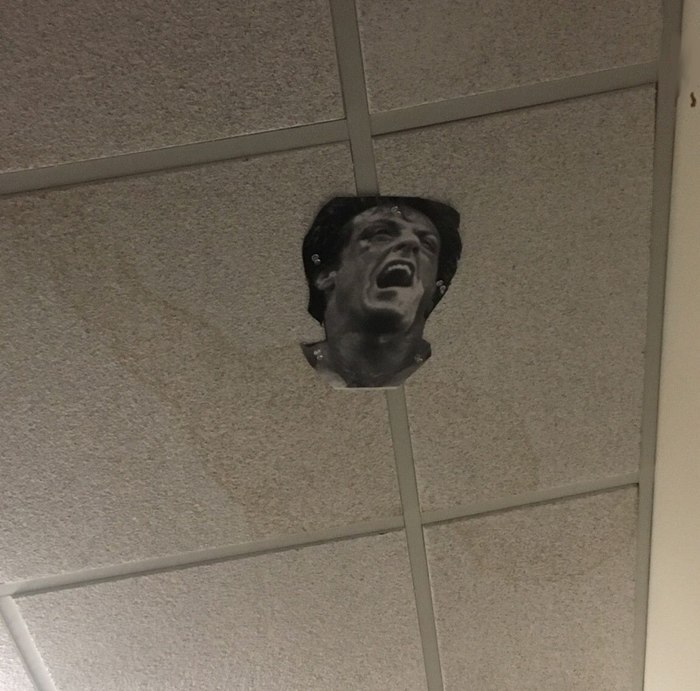 Spitting at the ceiling at work... - Rocky, Imagination, Humor